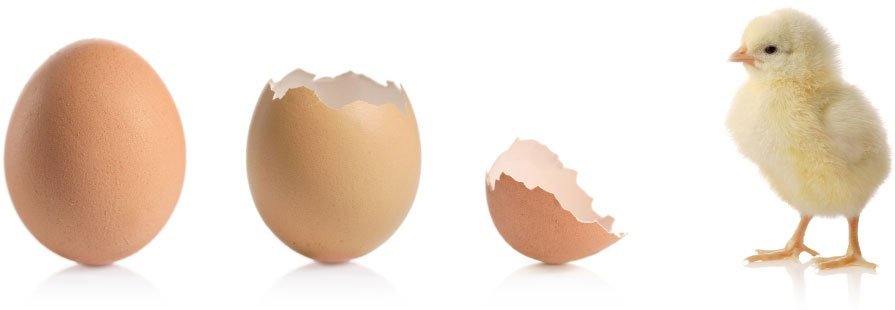 Aaron-Thomas-Company__58604-2