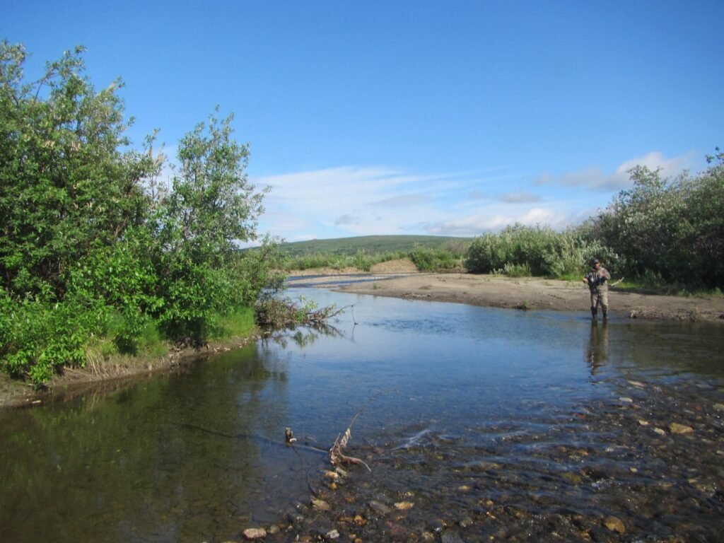 Alaskan NW Adventures LLC