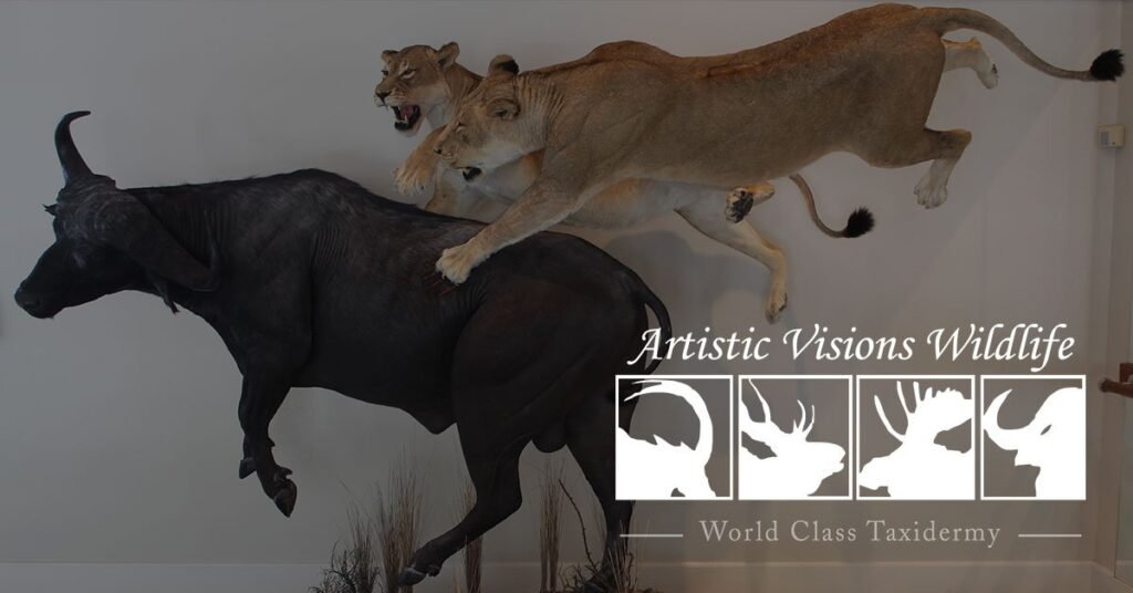 Artistic Visions Wildlife