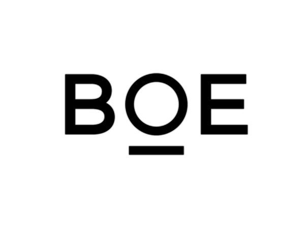 BOE-Varitronix__61894-2