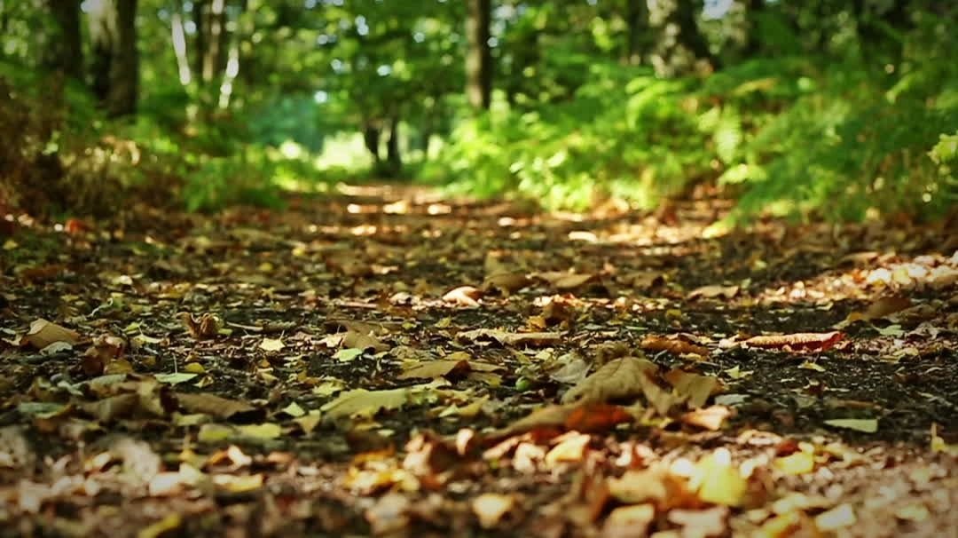 Backwoods-Trophy-Outfitters__61012