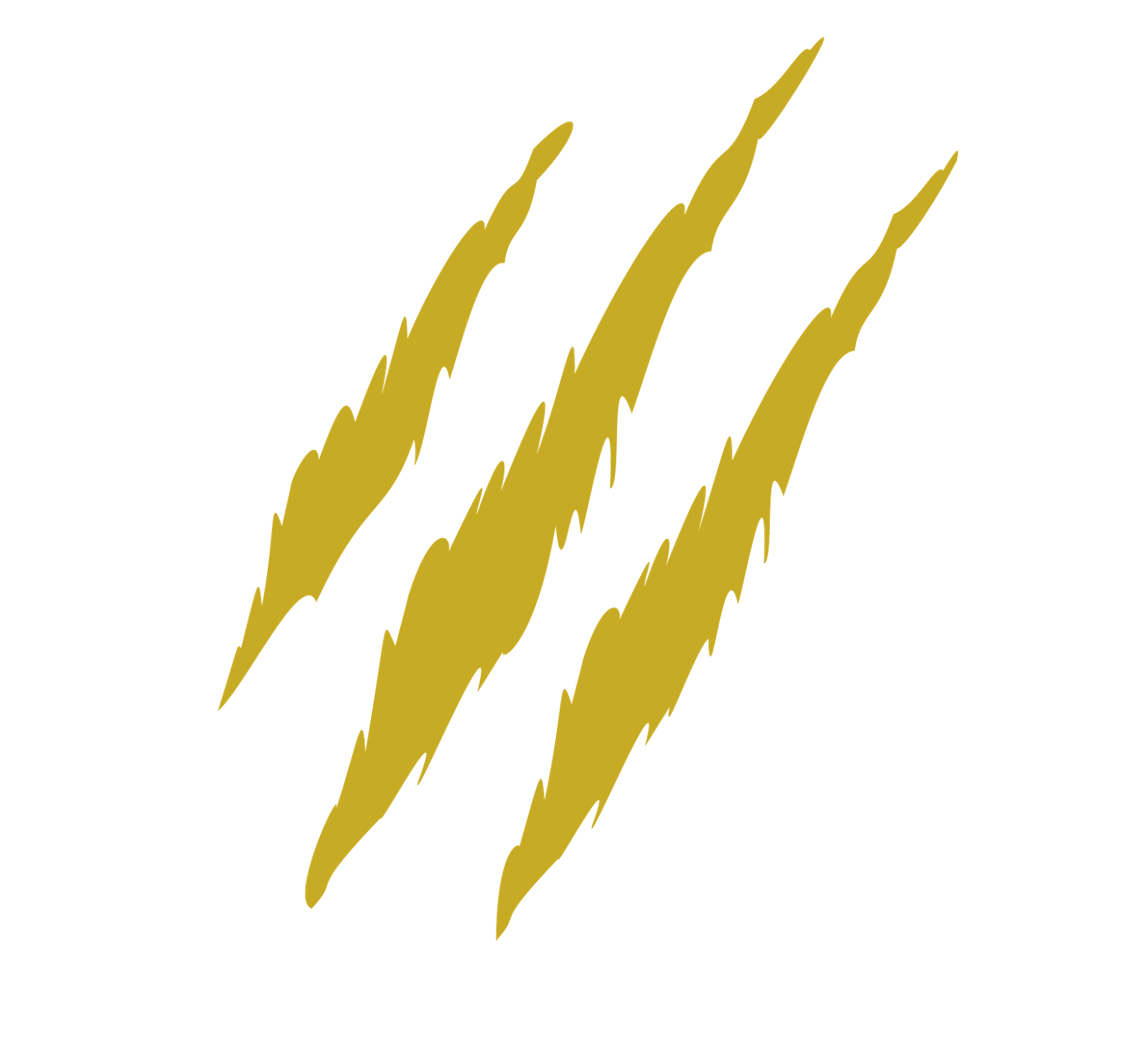 Birch-Hunters__61660-2