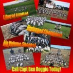 Black River Valley Outfitters/River Valley Charters