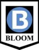 Bloom Manufacturing LLC