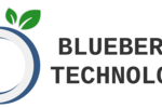 Blueberry Technology Inc.