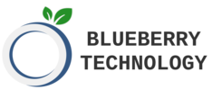 Blueberry-Technology-Inc__61819-2