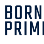 Born Primitive LLC