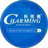 CHARMING-CO.LTD__62994-2