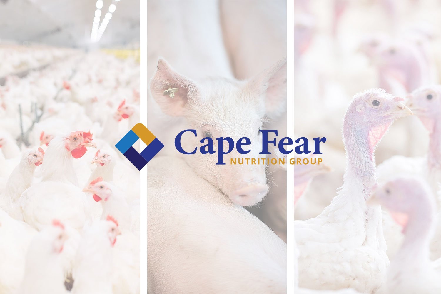 Cape-Fear-Nutrition-Group__62571-2