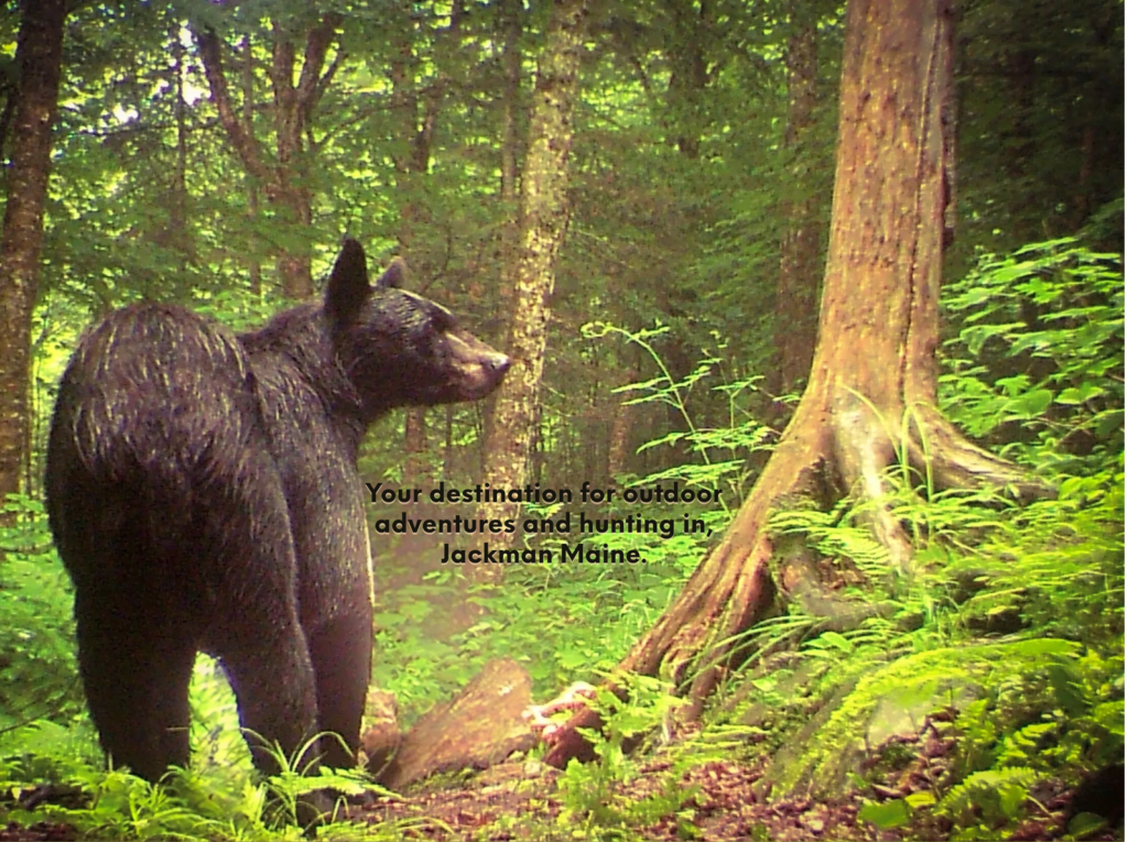 Cedar Ridge Outfitters