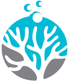 Coralbay.tv__63864-2