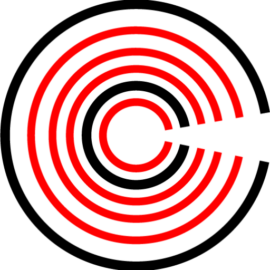 Cowin-CompanyRaisebor__63965-2