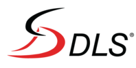 DLS-Technology-Corporation__65009-2