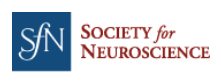 EI00094-Society-for-Neuroscience-SfN