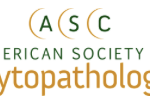 American Society of Cytopathology – ASC Annual Scientific Meeting