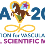 Association for Vascular Access – AVA