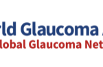 World Glaucoma Congress