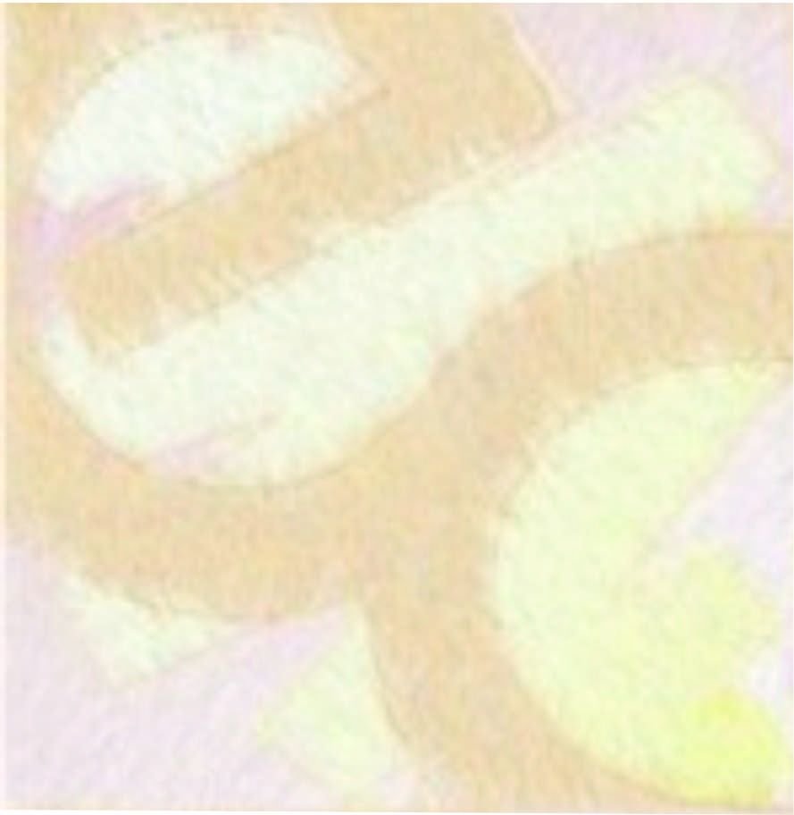 Espaco-Cenico-Comunicacao-e-Marketing-SC-LTDA.-Sao-Paulo