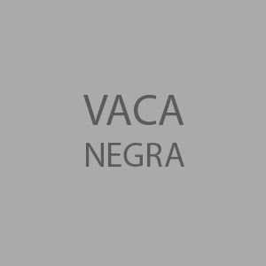 Estudio-Vaca-Negra-Mendoza