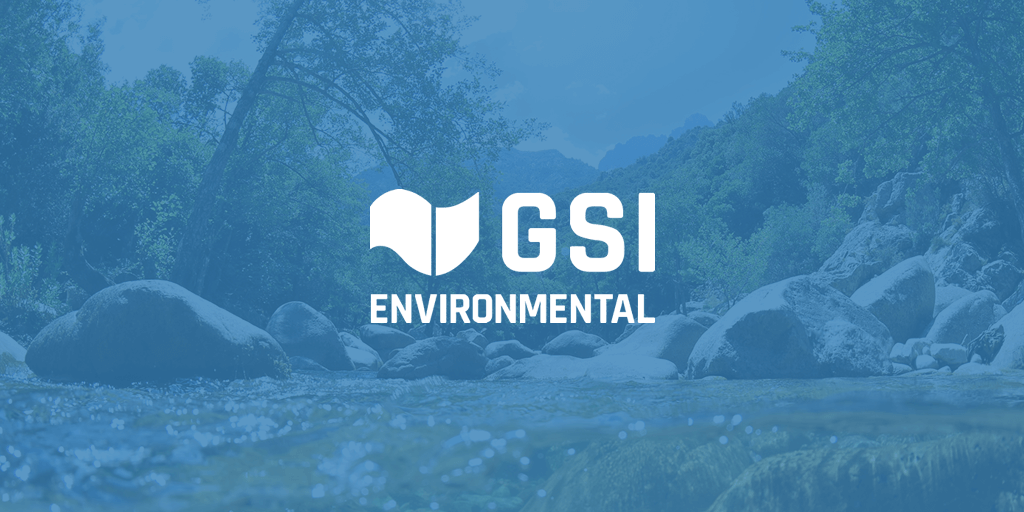 GSI-Environmental-Inc__68621-2