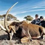 Global Hunting Solutions