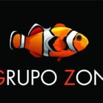 Grupo Zon