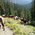 High Rock Outfitters