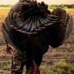 Honey Hole Outfitters