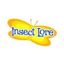 Insect-Lore__88819-2