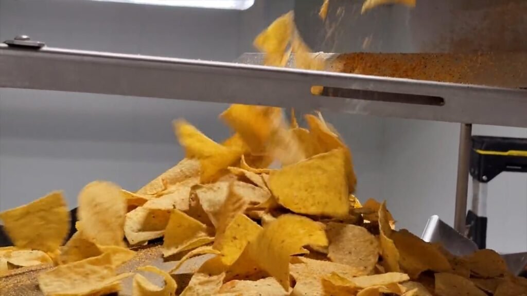 Julio’s Seasoning & Corn Chips