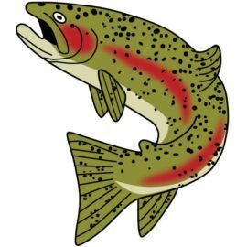 Katmai-Lodge__71660-2