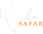 Kirabo Safaris