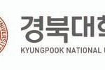 Kyungpook Univ Daegu rise business group