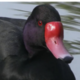 L.O.-Hunting-Service__72891-2