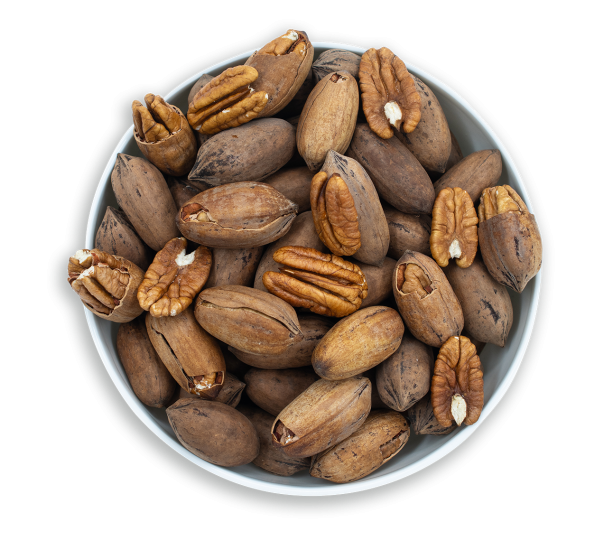 La-Nogalera-Group__72236-2