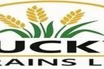 Lucky Grains