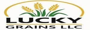 Lucky-Grains__73076-2