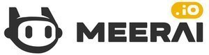 MEERAI.IO__73812-2