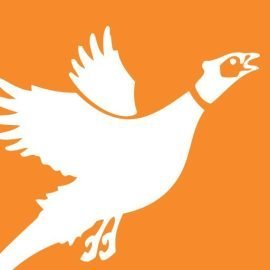 Martzs-Gap-View-Hunting-Preserve__73517-2