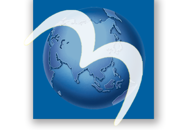 Mega-System-Technologies-Inc__73823-2