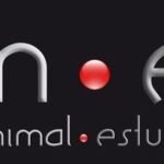 Minimal Estudio Ltda