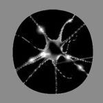 NEURONAL DESIGN