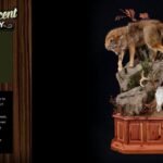 Natures Accent Taxidermy