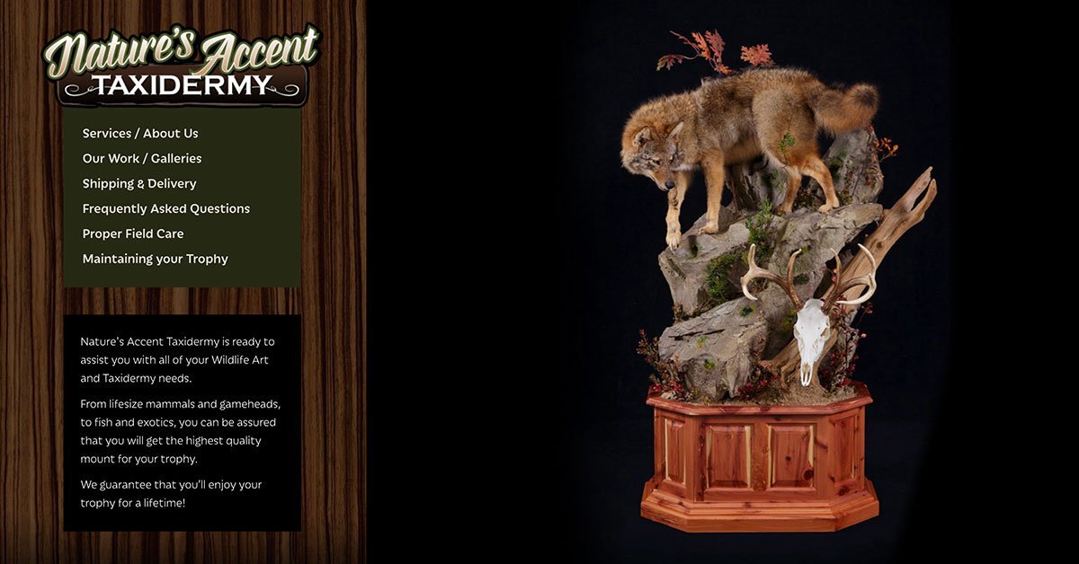 Natures-Accent-Taxidermy__75030-2