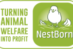 NestBorn