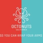 Octonuts