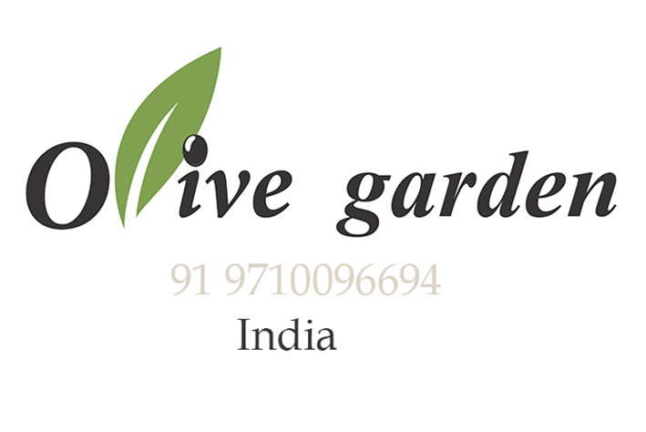 Olive-Garden-Chennai