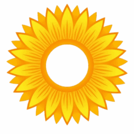 Otto-NutsWaforia-Cookies__76348-2