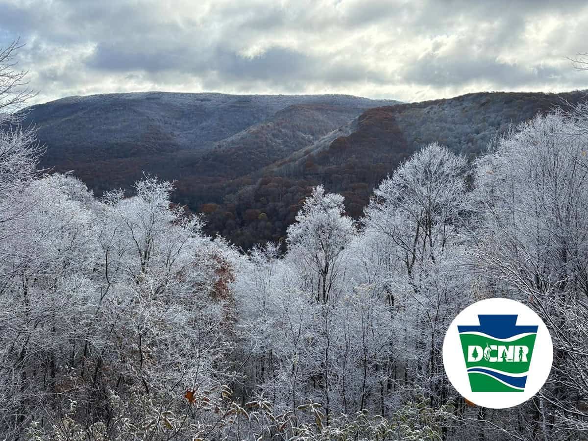 Pennsylvania-Dept.-of-Conservation-and-Natural-Resources__76751-2