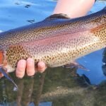 Pennsylvania Fish & Boat Commission